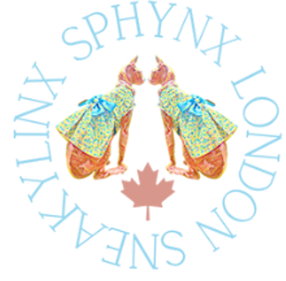 Sneakylinx Sphynx